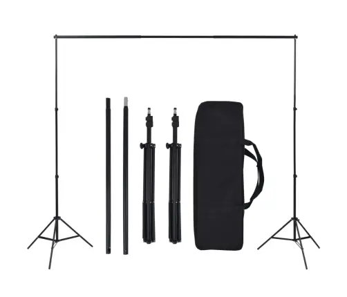 Fotostuudiokomplekt Valgustuse Ja Taustapiltidega