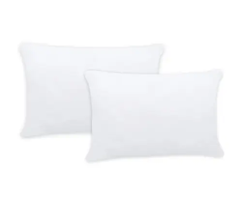 Padjatäidised 2 Tk, 60 X 60 cm Valge