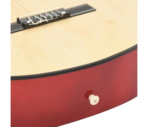 Western Klassikaline Kitarr Ekvalaiseriga 6 Keelega