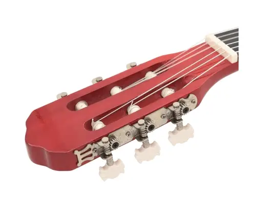 Western Klassikaline Kitarr Ekvalaiseriga 6 Keelega