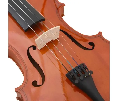 Vijoles Komplekts Ar Lociņu Un Zoda Balstu, Dabīga Krāsa, 4/4 Vidaxl