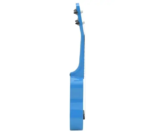 Sopran Ukulele Komplekt Kotiga Lastele Sinine 21"