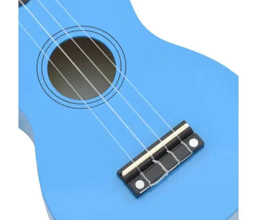 Sopran Ukulele Komplekt Kotiga Lastele Sinine 21"
