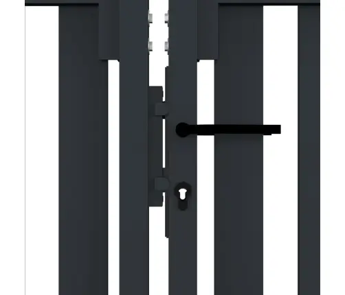 Dvivėriai Tvoros Vartai, Plieniniai, 300X100 cm Antracito Spalvos