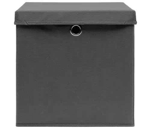 Uzglabāšanas Kastes Ar Vāku, 10 Gab., Pelēkas, 32X32X32 Cm Vidaxl