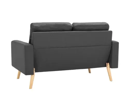 Divvietīgs Dīvāns, Tumši Pelēks Audums Vidaxl Divvietīgs Dīvāns, Tumši Pelēks Audums Vidaxl