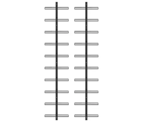 Seinale Kinnitatavad Veiniriiulid 20 Pudelile, 2 Tk, Must Metall
