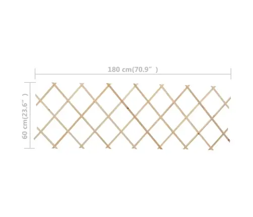 Špaleru Žogi, 5 Gab., 180X60 Cm, Egles Koks Vidaxl