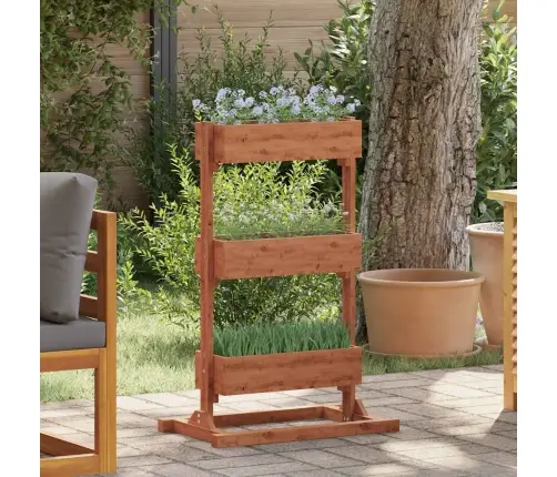 Augu Statīvs, 52X30X78 Cm, Egles Koks Vidaxl