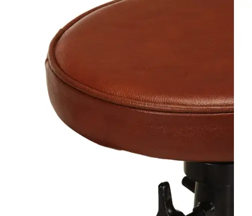 Bāra Krēsli, 2 Gab., Brūna Dabīgā Āda, Čuguns Vidaxl