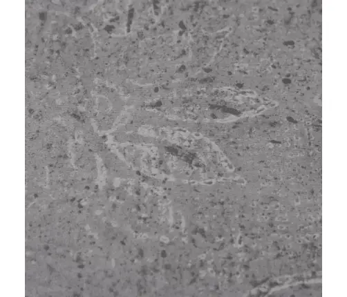 Mitte Iseliimuvad Pvc-Põrandaplaadid 5,26 M², 2 Mm, Tsement