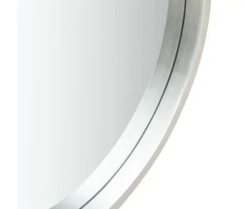 Sienas Spogulis Ar Siksnu, 50 Cm, Sudraba Krāsā Vidaxl