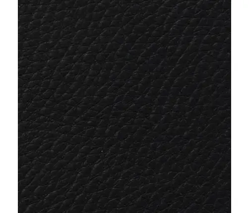 Söögitoolid 6 Tk, Painutatud Puit Ja Kunstnahk