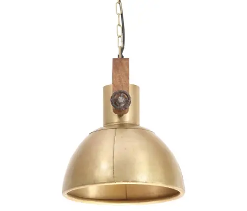 Griestu Lampa, Industriāls Dizains, Misiņa, 25 W, 30 Cm, E27 Vidaxl