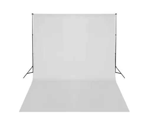 Fotostuudiokomplekt Valgustuse Ja Taustapildiga