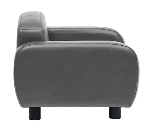 Koeradiivan, Hall, 80 X 50 X 40 cm Kunstnahk