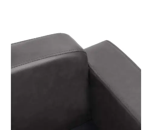 Koeradiivan, Hall, 80 X 50 X 40 cm Kunstnahk