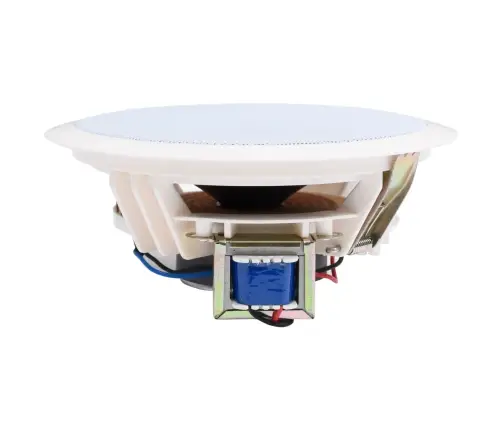 Sisseehitatud Seina- Ja Laekõlarid 2 Tk, 360 W