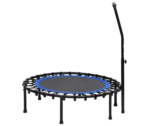 Fitnesa Batuts Ar Rokturi, 102 Cm Vidaxl