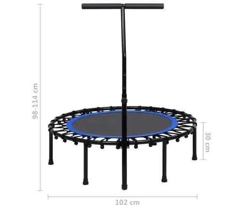 Fitnesa Batuts Ar Rokturi, 102 Cm Vidaxl
