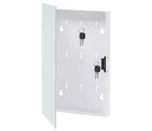 Võtmekarp Magnetplaadiga, Valge, 30X20X4 Cm