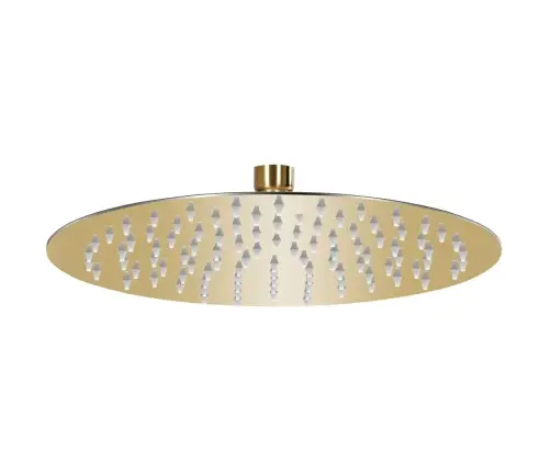 Lietus Dušas Galva, 25 Cm, Apaļa, Tērauds, Zelta Krāsā Vidaxl