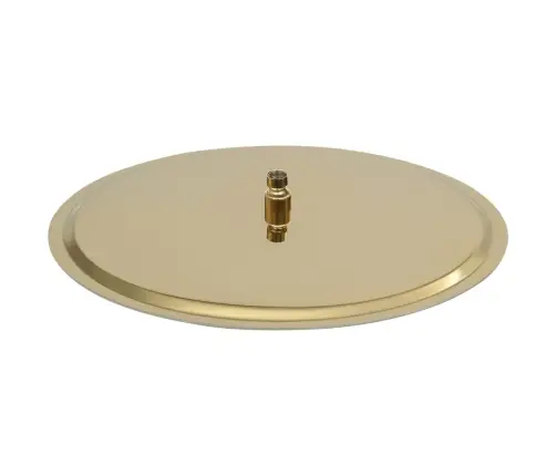 Lietus Dušas Galva, 50 Cm, Apaļa, Tērauds, Zelta Krāsā Vidaxl