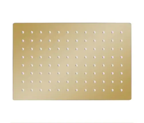 Lietus Dušas Galva, 30X20 Cm, Taisnstūra, Tērauds, Zelta Krāsā Vidaxl