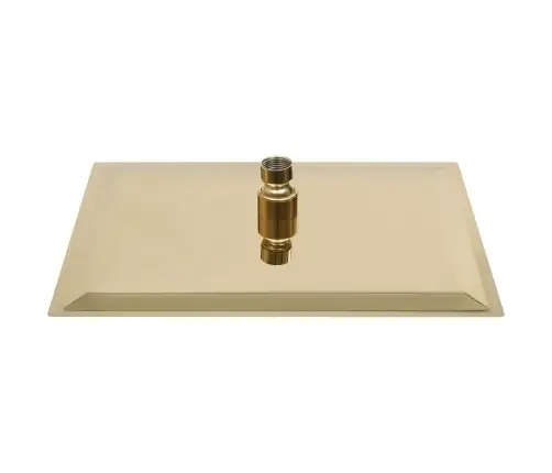 Lietus Dušas Galva, 30X20 Cm, Taisnstūra, Tērauds, Zelta Krāsā Vidaxl