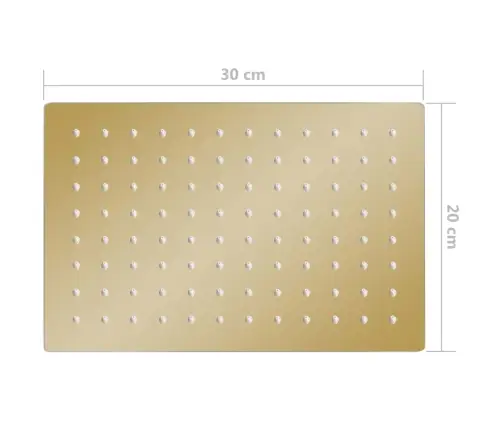 Lietus Dušas Galva, 30X20 Cm, Taisnstūra, Tērauds, Zelta Krāsā Vidaxl