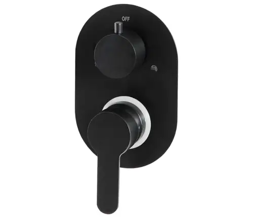 Dušo Sistema, Juodos Spalvos, Nerūdijantis Plienas 201