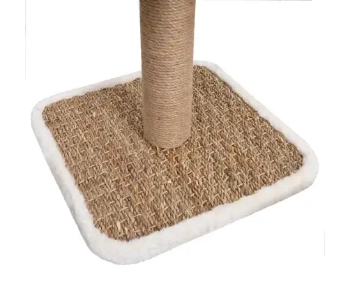 Tunneli Ja Mängusjaga Kassimaja, 56 Cm Mererohi