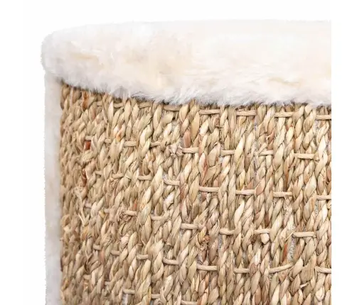 Guolis Katėms, 36cm Jūros Žolė, Apskritas