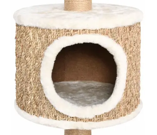 Kaķu Māja Ar Stabiem Nagu Asināšanai, 123 Cm, Jūraszāles Vidaxl