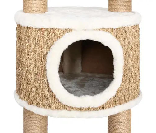 Kaķu Māja Ar Stabiem Nagu Asināšanai, 126 Cm, Jūraszāles Vidaxl