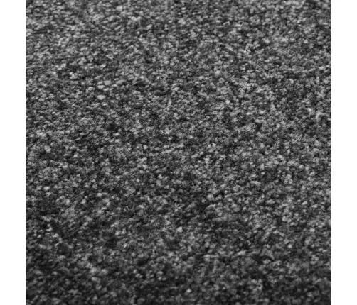Durų Kilimėlis, Antracito Spalvos, 60X180cm Plaunamas