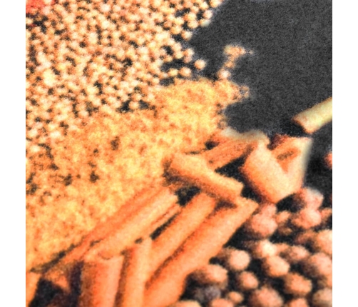 Virtuves Paklājs, Mazgājams, Apdruka Ar Garšvielām, 45X150 Cm Vidaxl