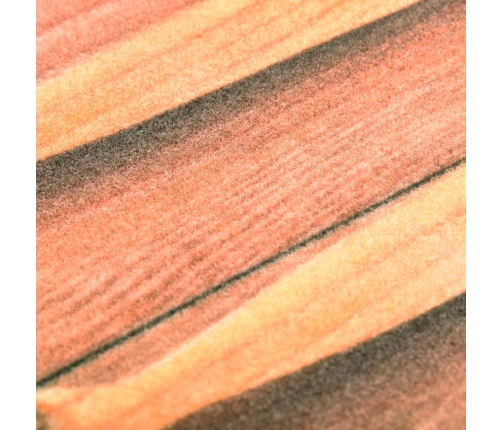 Virtuves Paklājs, Mazgājams, Apdruka Ar Karotēm, 45X150 Cm Vidaxl