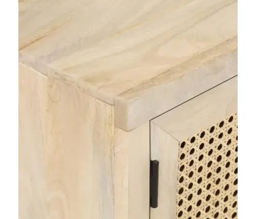 Televizoriaus Spintelė, 120X30X40cm Mango Masyvas Ir Nendrės