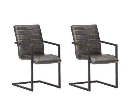 Vetruvate Jalgadega Söögitoolid 2 Tk, Hall, Ehtne Nahk Vetruvate Jalgadega Söögitoolid 2 Tk, Hall, Ehtne Nahk