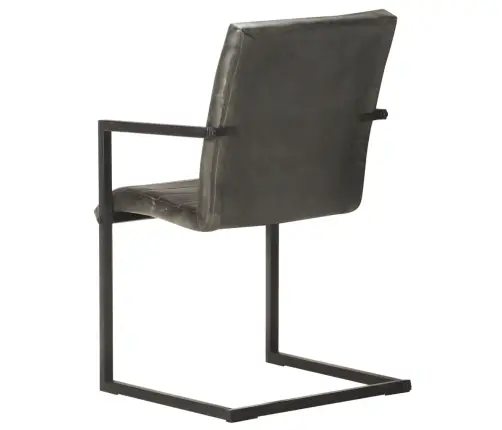 Vetruvate Jalgadega Söögitoolid 2 Tk, Hall, Ehtne Nahk Vetruvate Jalgadega Söögitoolid 2 Tk, Hall, Ehtne Nahk