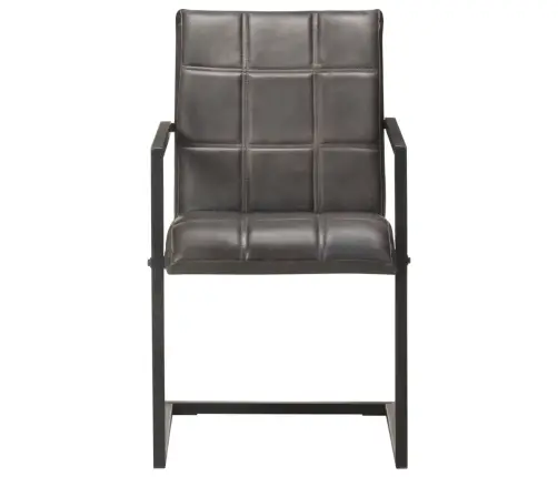 Konsoles Virtuves Krēsli, 2 Gab., Pelēka Dabīgā Āda Vidaxl