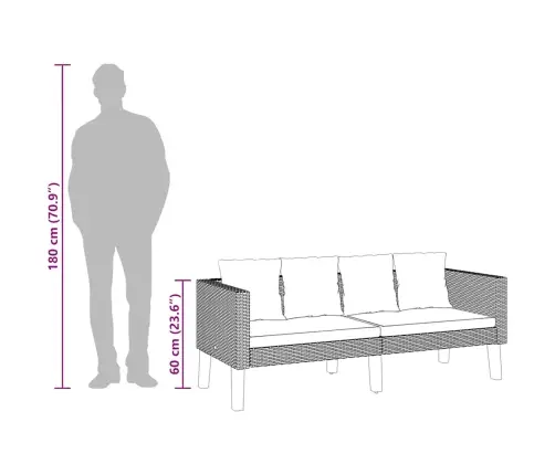 Dvivietė Sodo Sofa Su Pagalvėlėmis, Smėlio Spalvos, Poliratanas