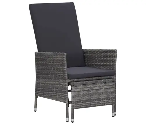 2-Daļīgs Dārza Atpūtas Mēbeļu Komplekts, Pelēka Pe Rotangpalma Vidaxl