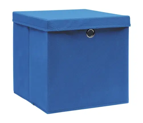 Uzglabāšanas Kastes Ar Vāku, 4 Gab., Zilas, 28X28X28 Cm Vidaxl