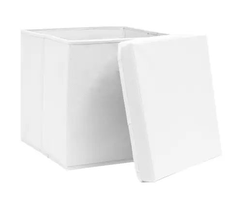 Hoiukastid Kaanega 10 Tk, 28 X 28 X 28 cm Valge