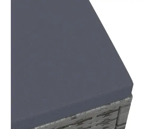 Dārza Sols Ar Matraci, Pelēka Pe Rotangpalma Vidaxl