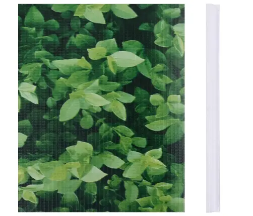 Aia Privaatsuskate, Pvc 35 X 0,19 M, Roheline