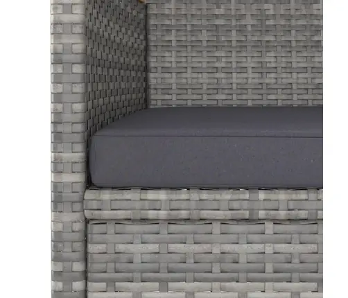 4-Daļīgs Dārza Krēslu Un Soliņu Komplekts, Pe Rotangpalma Vidaxl