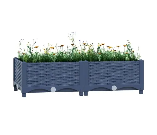 Puķu Kaste, 80X40X23 Cm, Polipropilēns Vidaxl